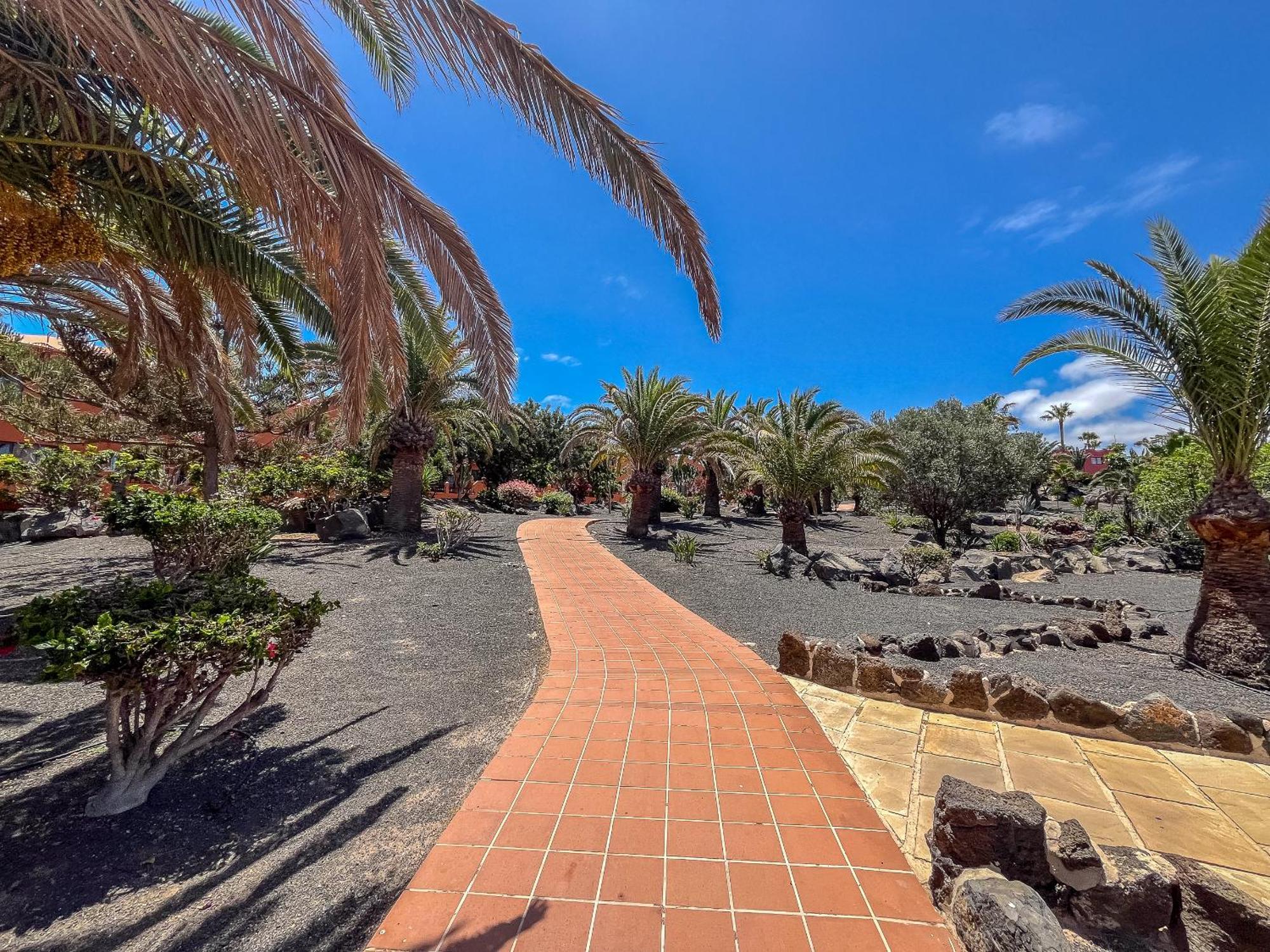 Apartamentos Oasis Royal Corralejo F314 Exterior photo