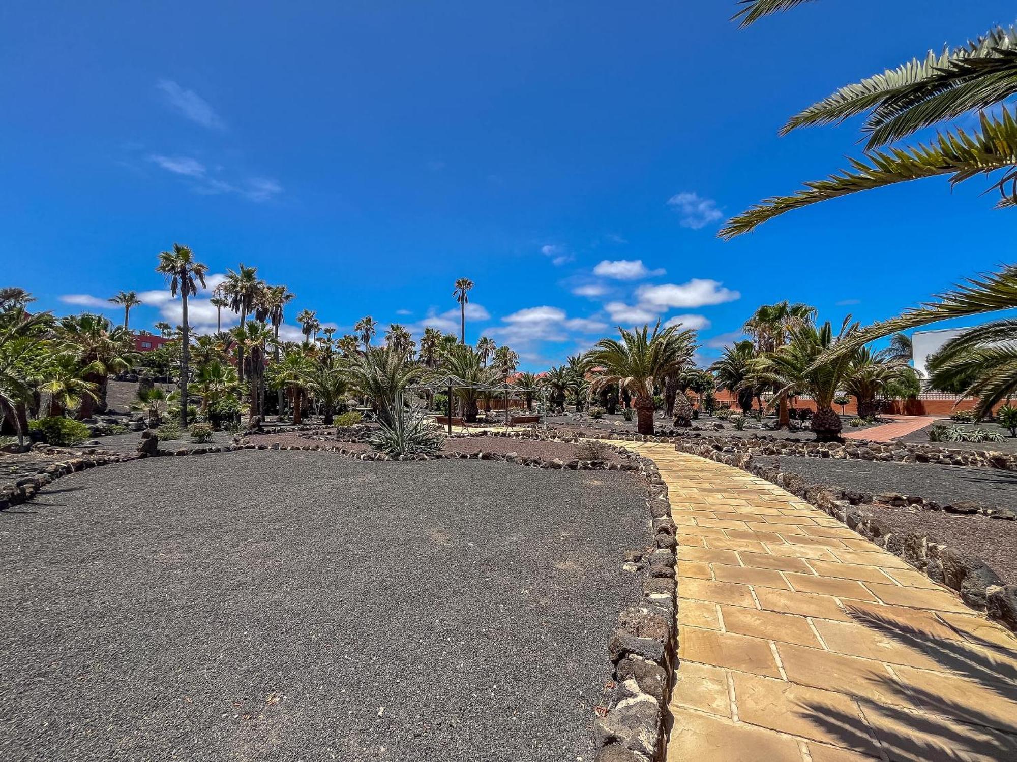 Apartamentos Oasis Royal Corralejo F314 Exterior photo
